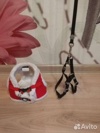 Шлейка puppia и лоток с совком