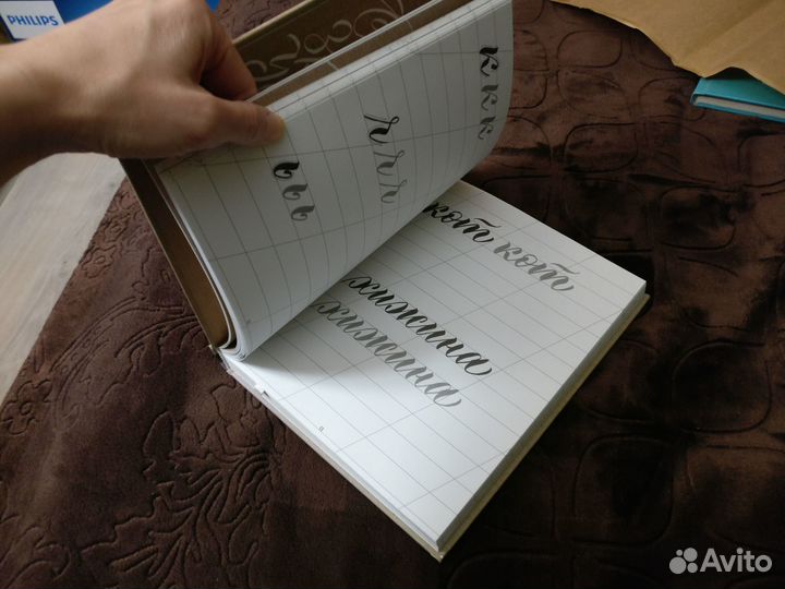 Книга Каллиграфия кистями Суворова Анна