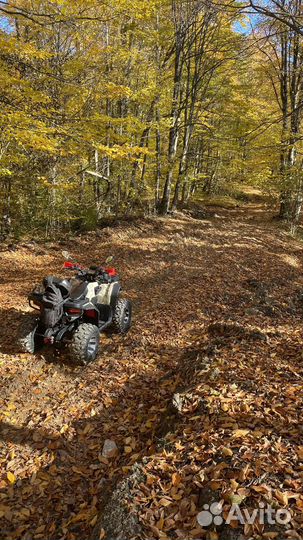 Квадроцикл