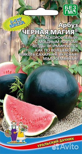 Арбуз Черная магия