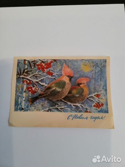 Снегери, открытка СССР