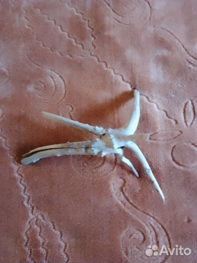 Обогреватель для аквариума 300 watt