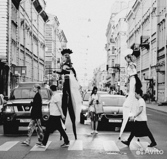 Фотограф бесплатно