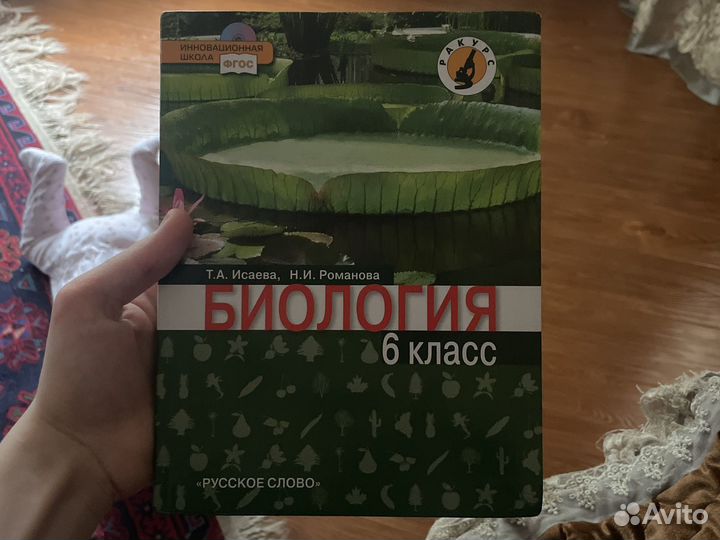 Биология 6 класс