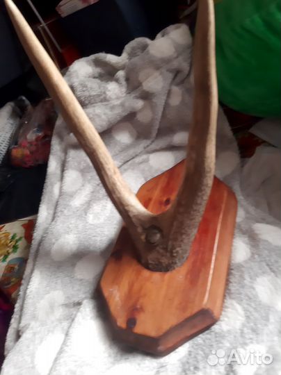 Подставка рога оленя винтаж