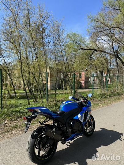 Suzuki gsx 1000r