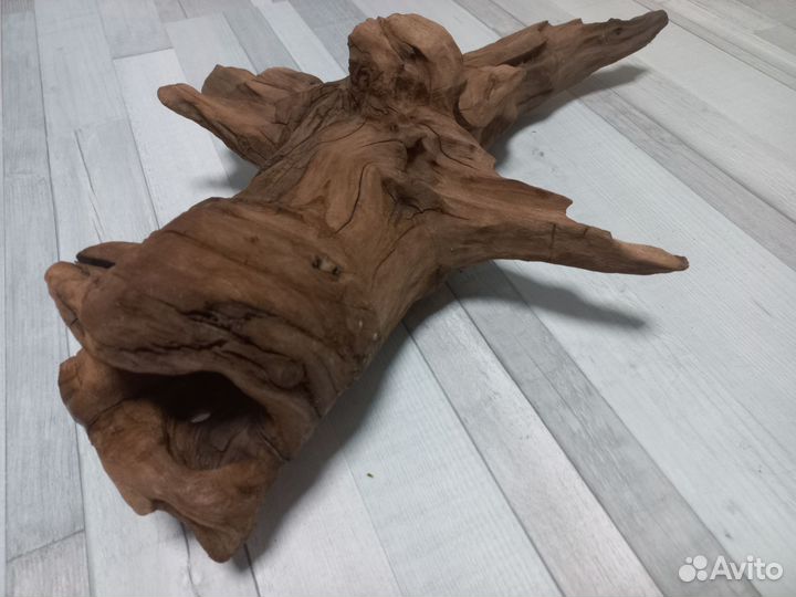 Аквариум, гуппи, растения, светильник