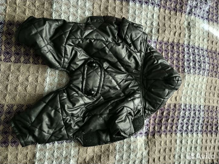 Одежда для животных