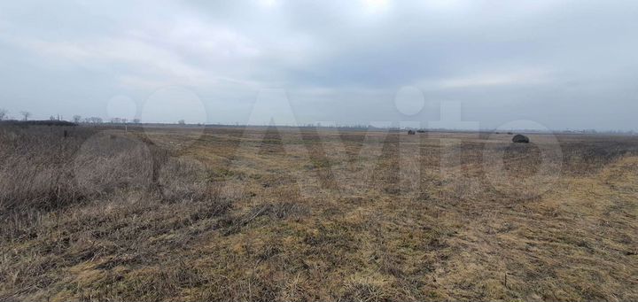 Участок 4 га (СНТ, ДНП)