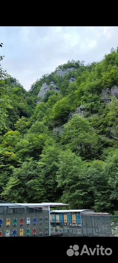 Мёд