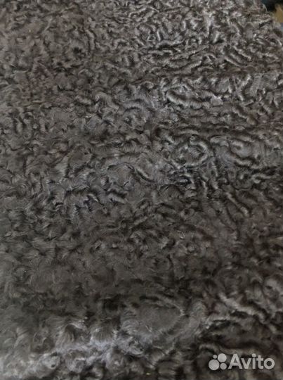 Песец, каракуль