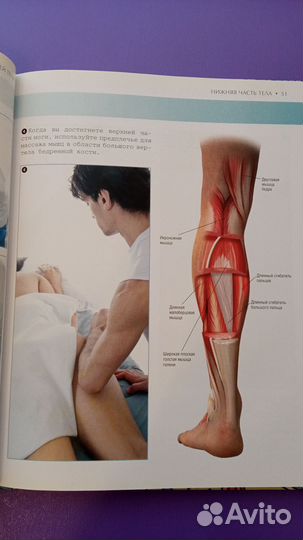 Наглядный массаж с анатомическими иллюстрациями