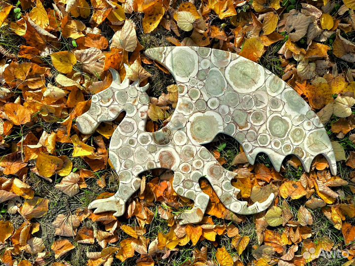 Спилы и панно из можжевельника