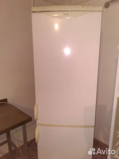 Холодильник Shnaige