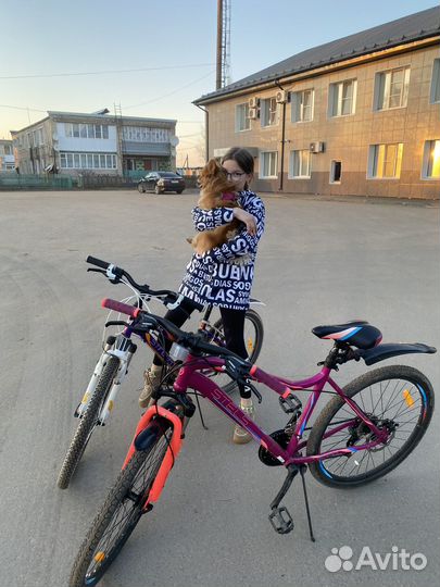 Велосипед stels