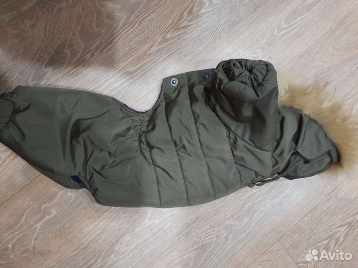 Одежда для собак