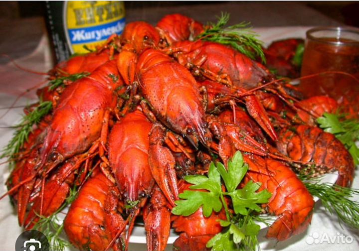 Живые и вареные раки