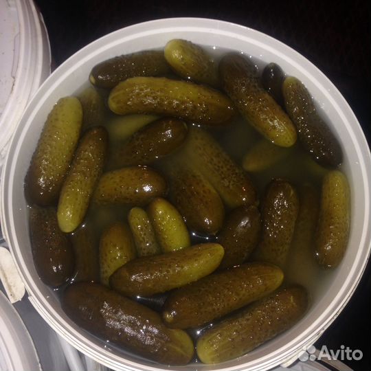 Огурцы соленые бочковые
