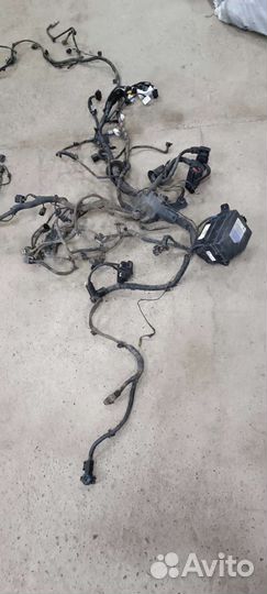 Проводка моторная solaris 1