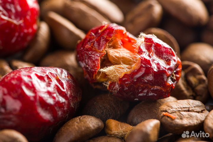 Ферментированный кофе в зернах с Шиповником