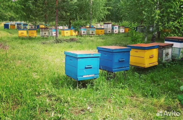 Башкирский Мёд