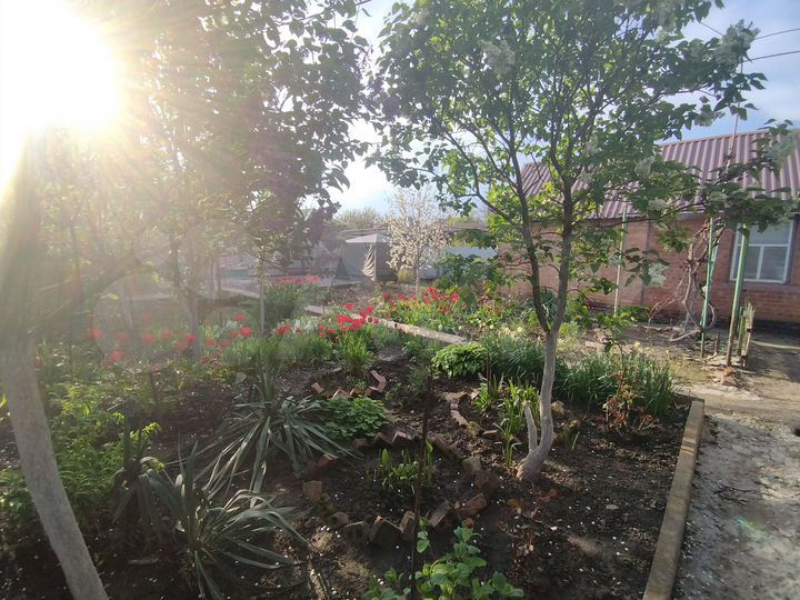 Участок 4,6 сот. (ИЖС)