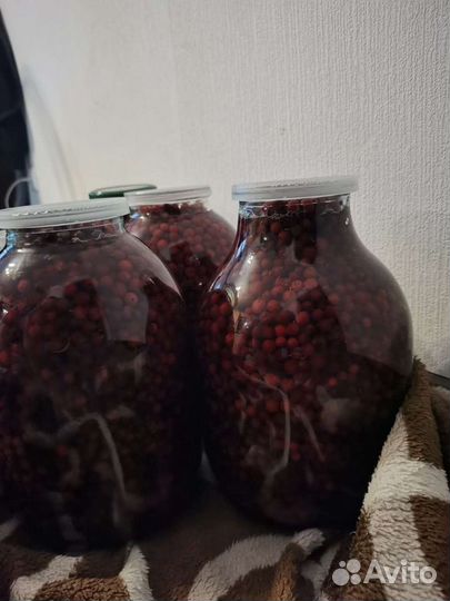 Брусника мочёная