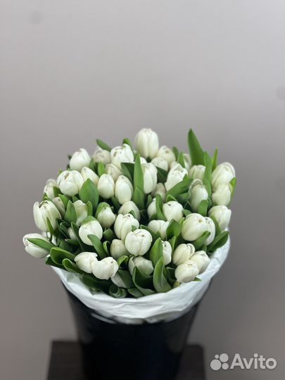 Тюльпаны в москве