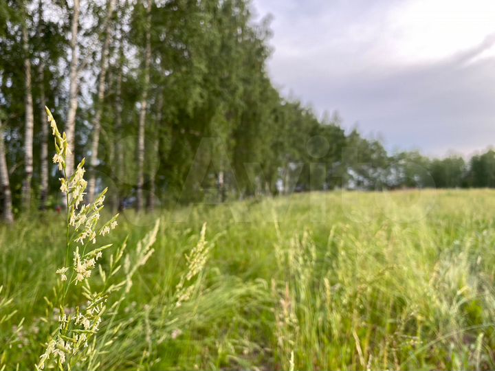 Участок 10 сот. (ИЖС)