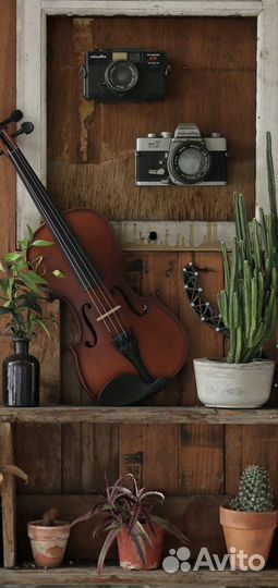 Музыкальное развитие детей on/offline