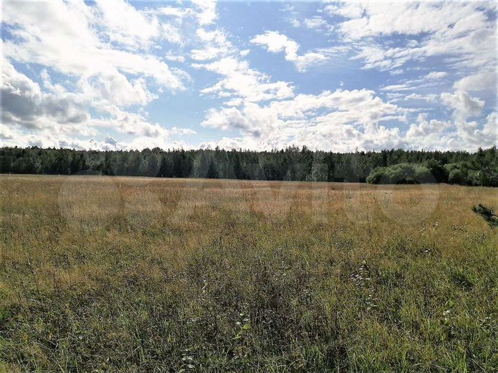 Участок 2,18 га (СНТ, ДНП)