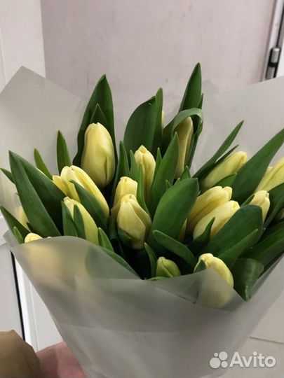 Тюльпаны букеты мелкий опт 8 марта