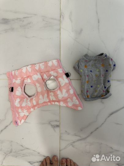 Одежда для собак йорка