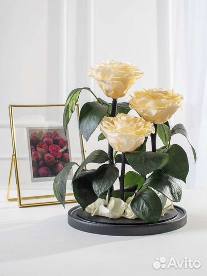 Роза в колбе оптом