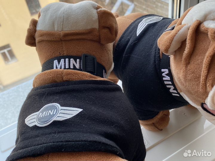 Собака бульдог mini cooper миникупер