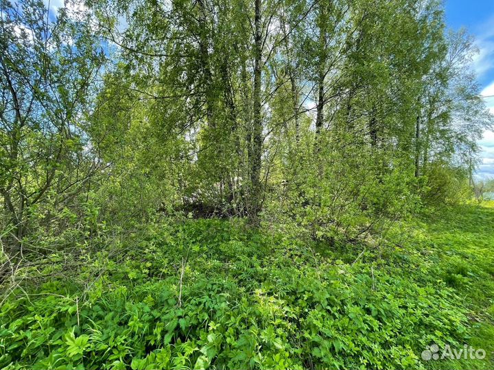 Услуги разнорабочих