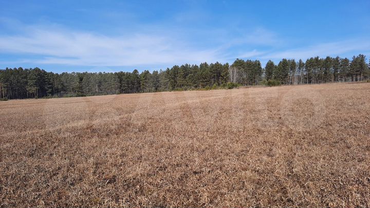 Участок 7,1 га (СНТ, ДНП)