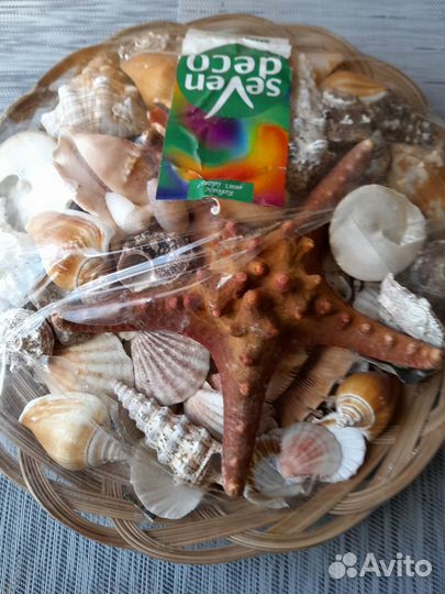 Ракушки для аквариума, пруда, фонтана, поделок