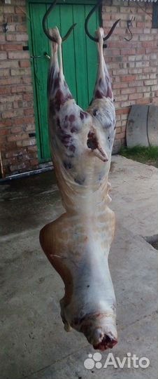 Свое мясо баранины и козлятины халяль и жир