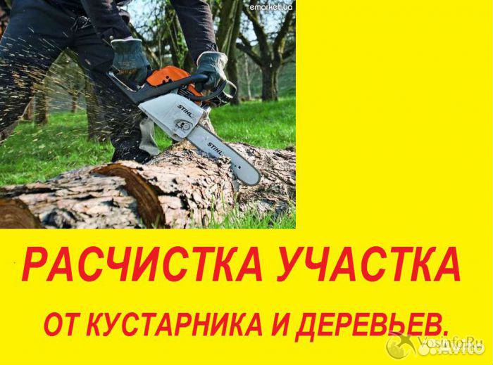 Спил деревьев.Обрезка.Арборист.Вышка.Выезд