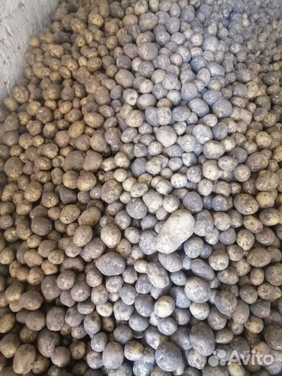 Продам картофель Домашний вкусный. Излишки