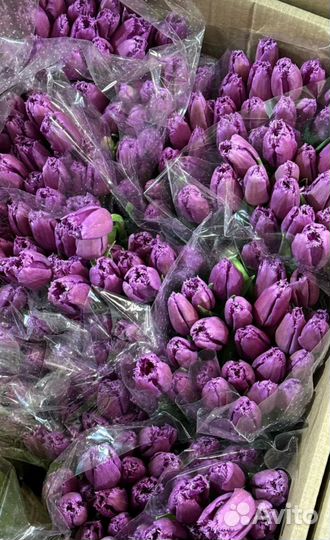 Тюльпаны на 8 марта