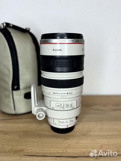 Canon EF 100-400mm f/4-5.6L IS USM