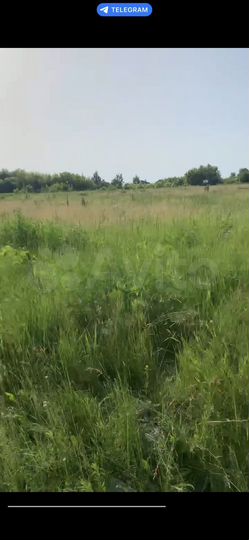 Участок 70 сот. (СНТ, ДНП)