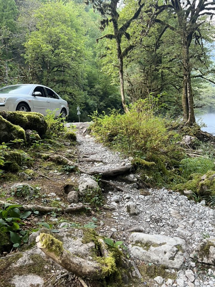 Ford Mondeo: фото владельца
