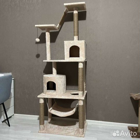 Когтеточка