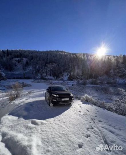 Аренда без водителя Range Rover с панорамой. Алтай