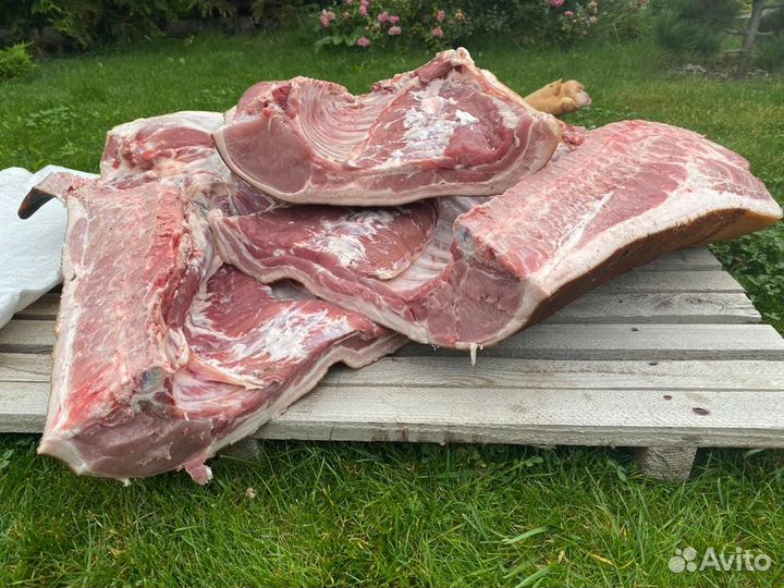 Свинина домашняя