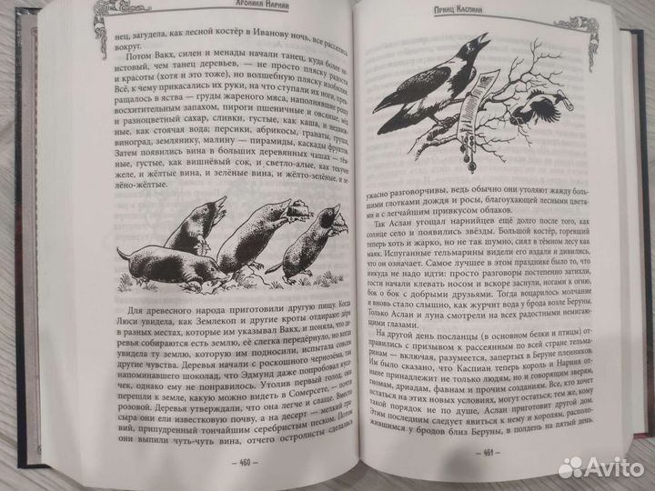 Книга Хроники Нарнии