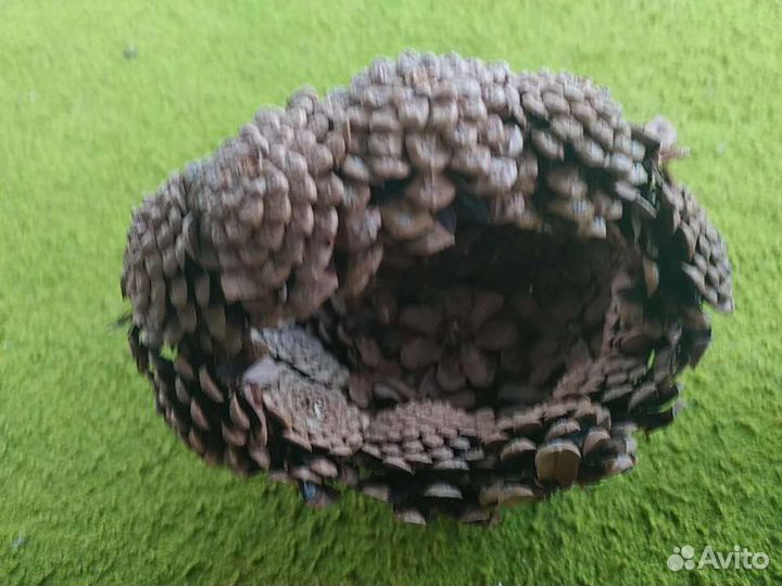Корзина из шишек